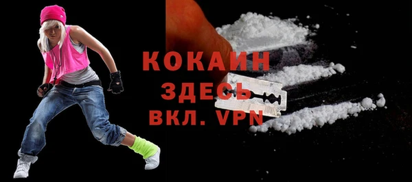 молекула духа Балахна