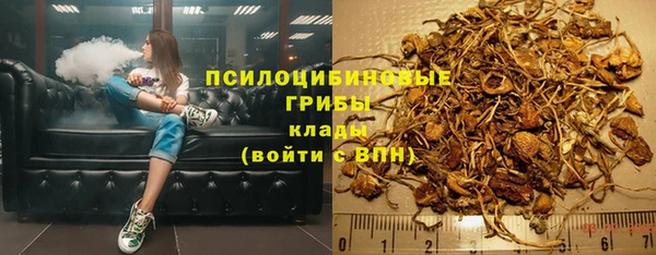 гашик Балабаново